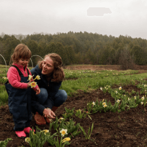 The Harrison Hill Farm pick your own flowers Toronto GTA Buckhorn